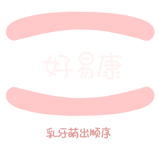 尚佳專業(yè)月嫂丨關(guān)于寶寶長牙問題，都在這里！